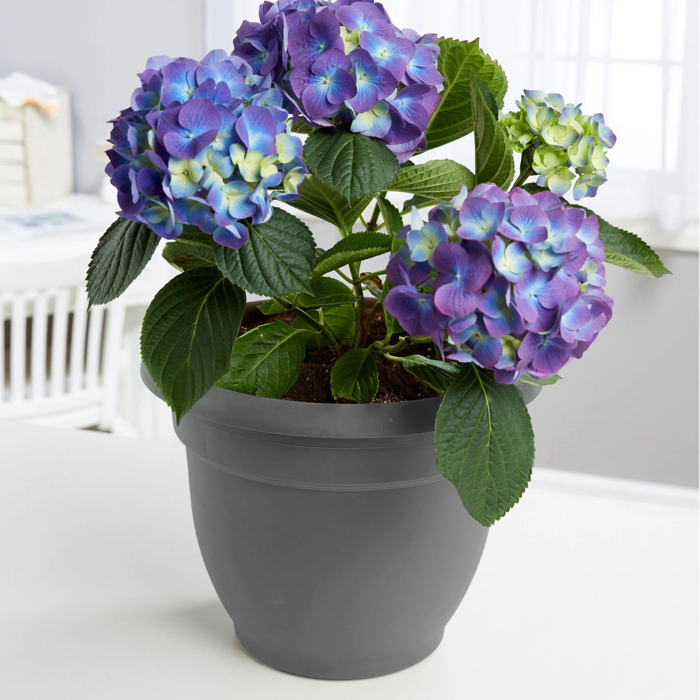 Ariana Pot Planter: 16" - Charcoal - Durable Resin Pot, for Indoor and Outdoor Use, Gardening, Self Watering Disk Included, 6 Gallon Capacity