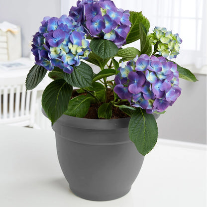 Ariana Pot Planter: 16" - Charcoal - Durable Resin Pot, for Indoor and Outdoor Use, Gardening, Self Watering Disk Included, 6 Gallon Capacity